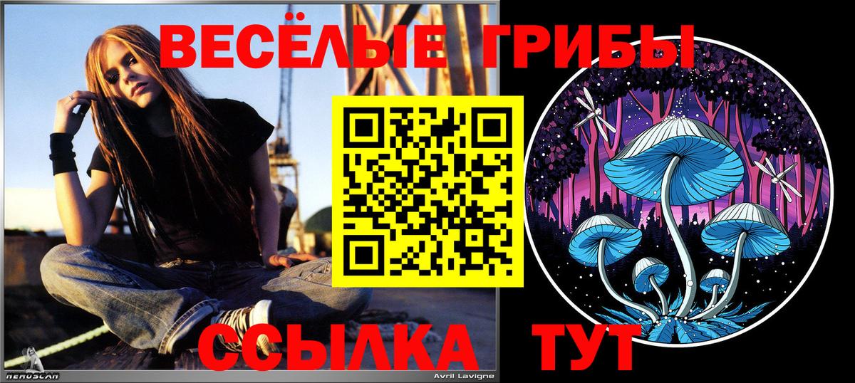 Псилоцибиновые грибы прущие грибы  Вход с VPN  цены   Дзержинск 